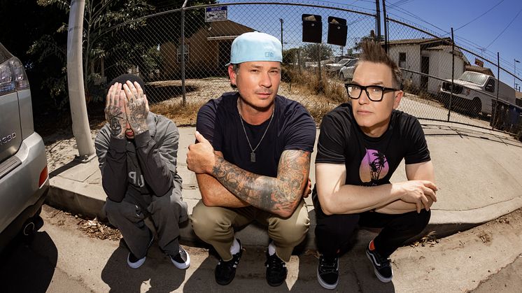 blink-182 pressbild
