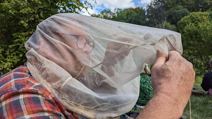 Leta insekter i håv Foto Anders Tukler