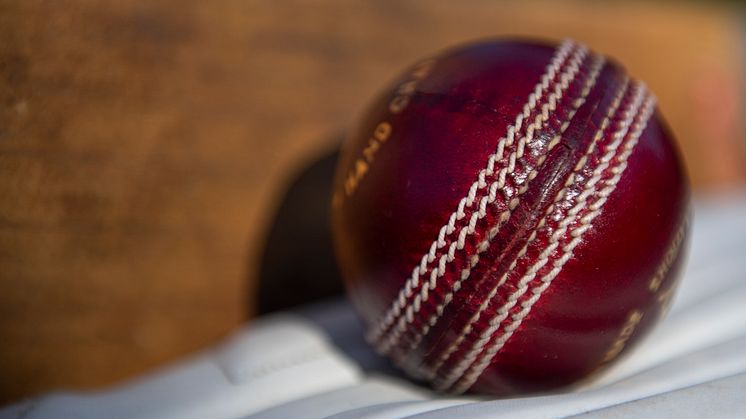 Update on cricket spectator pilots
