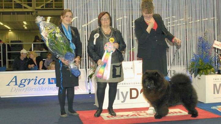 MyDOG 2012