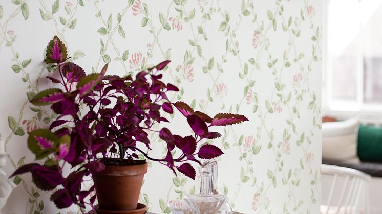 Honeysuckle 8852
