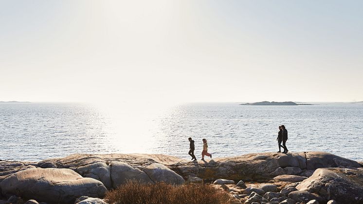 Vrangö VEst Sverige  Jonas Ingman (kopia)