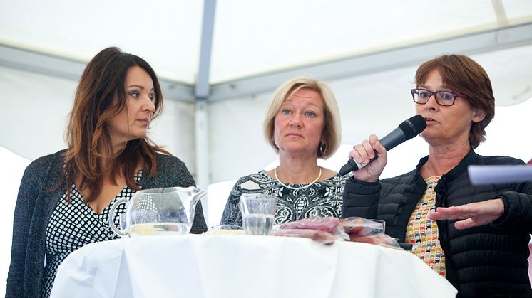 Svenskt Kött i Almedalen 2013: "Sveriges dyraste matkasse?"