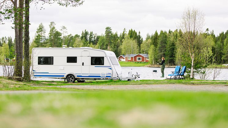 Polarvagnen fiske