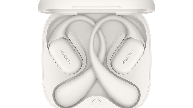 HUAWEI FreeArc_Moose_HQ_Grey_08_PNG_3000_20241224.png