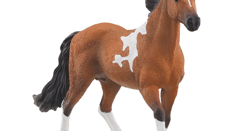 13978_Horse Club_Mangalarga Marchador Hengst (c)Schleich