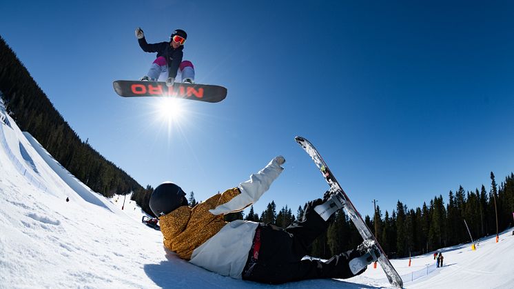 artikelbild snowboard