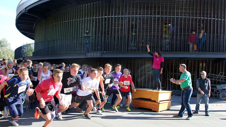 Sponsorenlauf in Oschatz: Thomas-Mann-Gymnasium läuft für Bärenherz