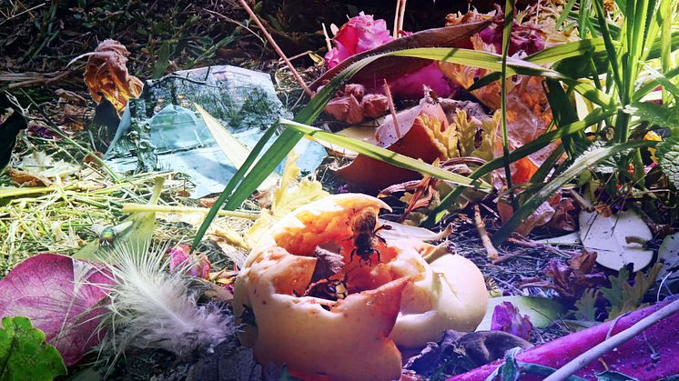 Blick in die Ausstellung - Carolas Garten - Yadegar Asisi (4)