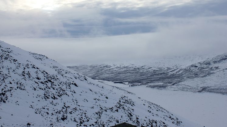 vinterbild fjällen