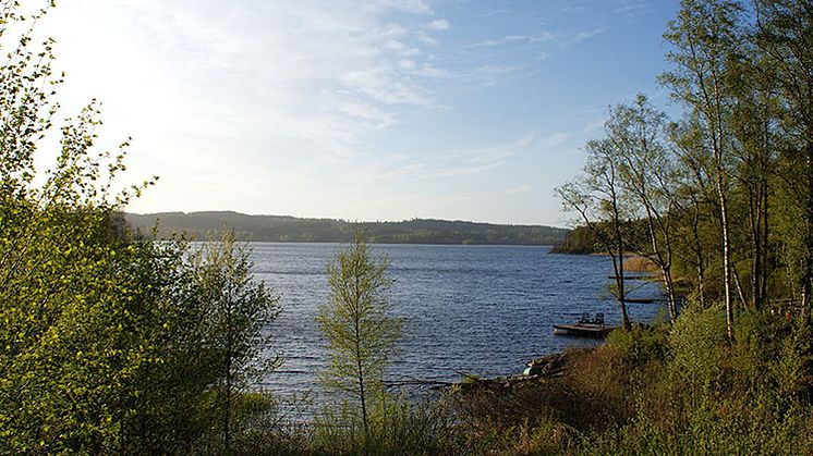 Västra Nedsjön. Foto: Jan Ainali.