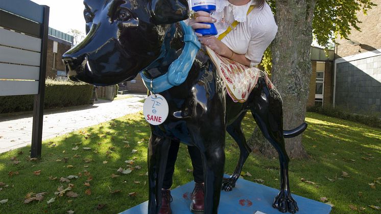 Black Dog on campus helps to stimulate depression discussion