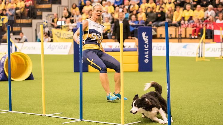 AWC2018TeamSwedenLFriday2.jpg