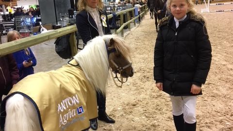 Anton – maskot och hjälpreda