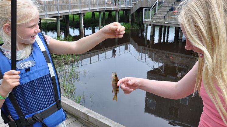 Nya projekt ska få fler att fiska och vandra i Vattenriket