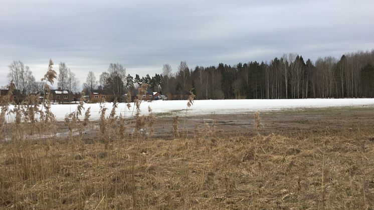 Ett större fördröjningsmagasin ska byggas utmed Västerleden.