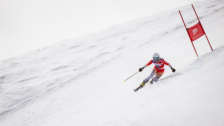 Telemark-WM_Classic