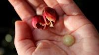 Oprindelige folk i Bolivia skaber økoturisme i San Ramón