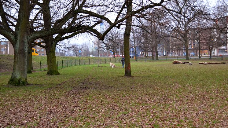 Vi inviger hundhägnet i Sturzen-Beckers park