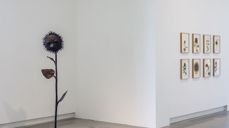 Installation view, I Follow the Sun. Artists: Klara Kristalova & Anna Bjerger. Photo Jean-Baptiste Béranger