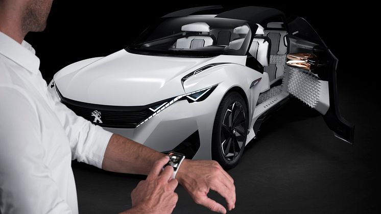 Peugeot Fractal kittlar alla sinnen