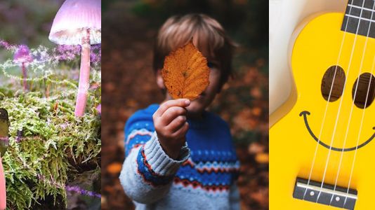 Foto: Pixabay, Annie Spratt, Vanessa Bucceri