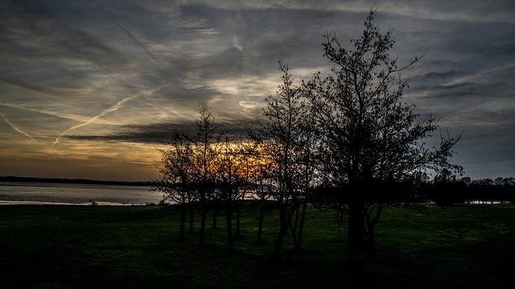 Solnedgang ved Harrevig Golfklub
