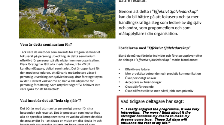 Effektivt Självledarskap