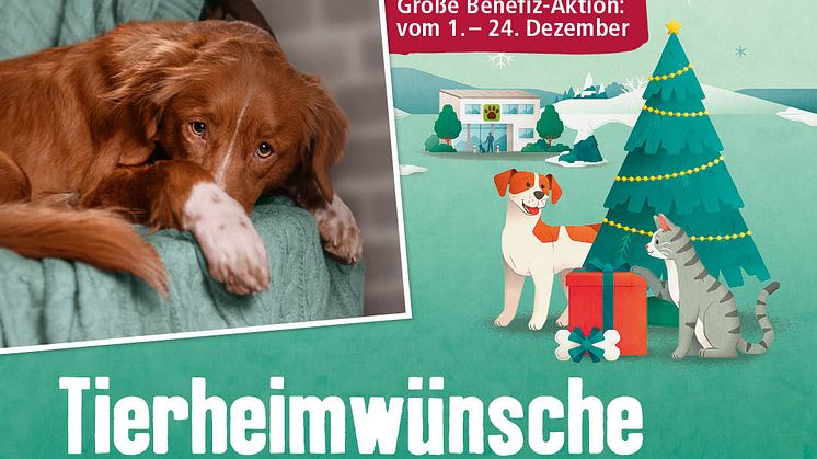 DE_KW49_Tierheimwünsche_RK_SM.Inst_P_1.jpg