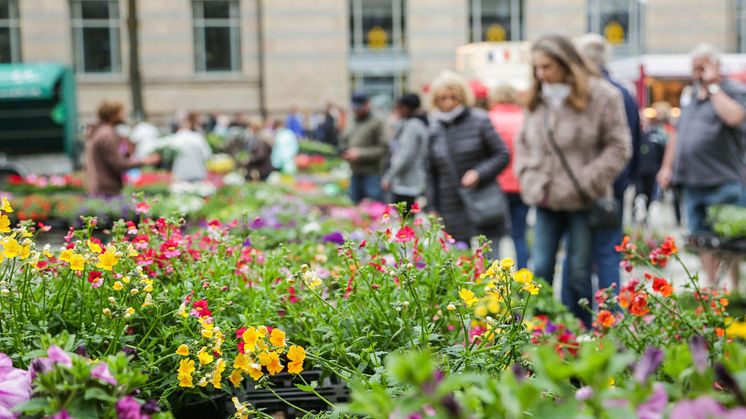 Mit Blumen, Kunst und Sport kehrt der Frühling zurück in die Kieler Innenstadt. (c) Nicole Riederer, Kiel-Marketing 