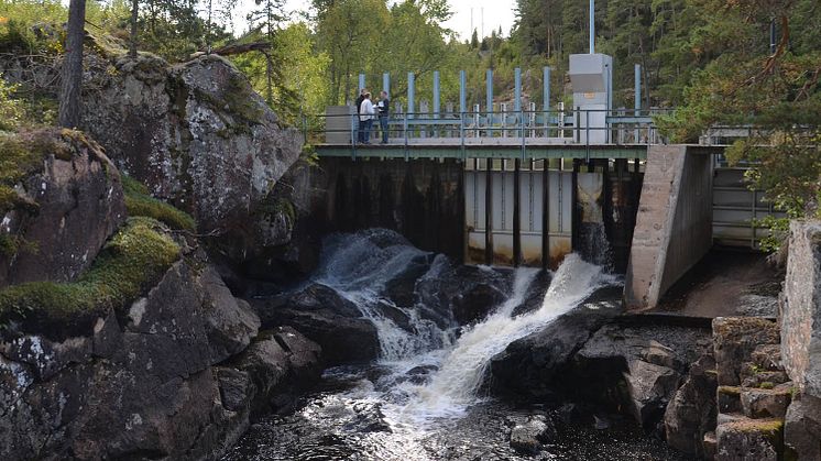 Värdefull småskalig vattenkraft för Skånska Energi
