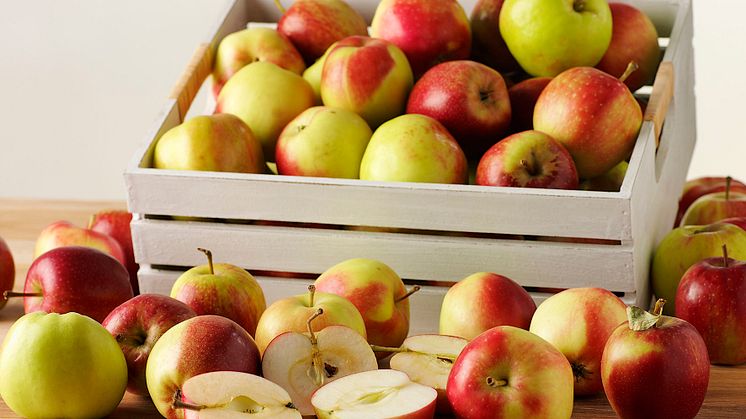 RP Frukt inviger ny produktionsanläggning i Hässleholm