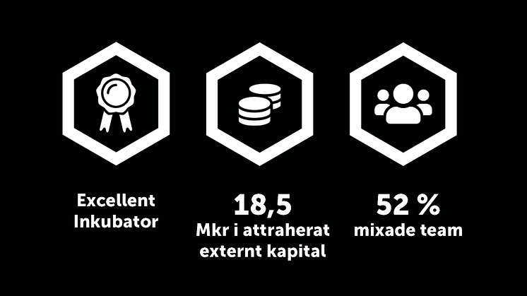 Excellent inkubator på Dalarna Science Park och 18,5 miljoner i attraherat kapital för inkubatorbolag under 2020.