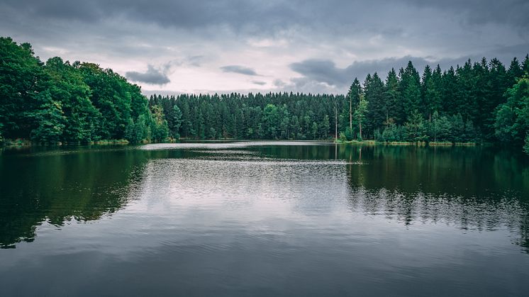 Foto: Istock