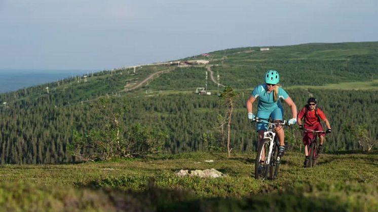 Älskar du Sälenfjällen och vill njuta av fjällen många år framöver?