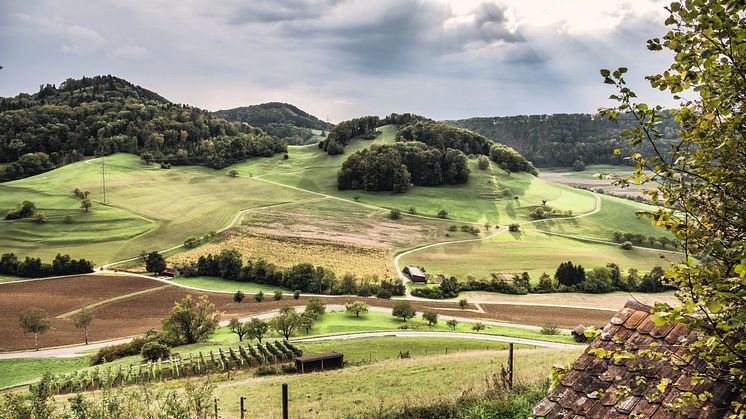 Jurapark Aargau ©KleineWeltwunder.ch - BAFU