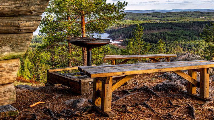 artknubben-dalarna-webb
