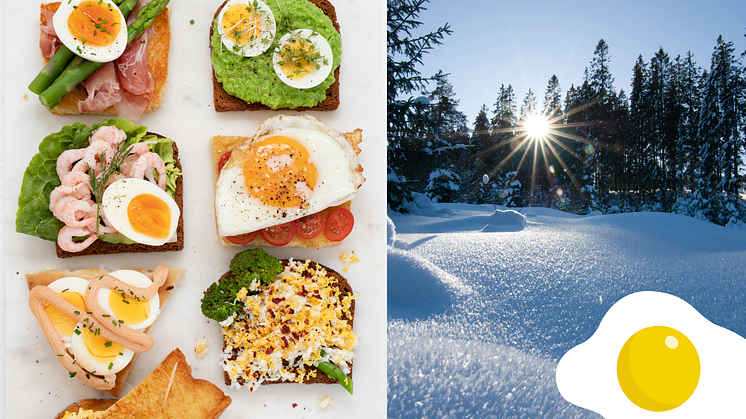 Ägg är ett bra mellanmål i backen eller i skogen, lätt att packa i matsäcken och äta till lunchen under sportlovsaktiviteterna.