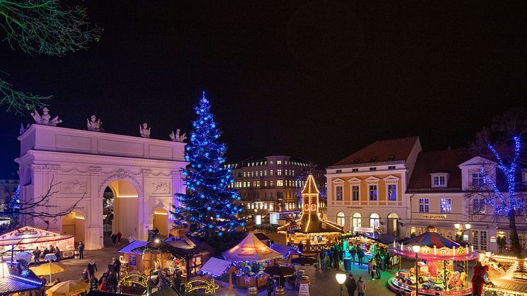 Blauer Lichterglanz in Potsdam