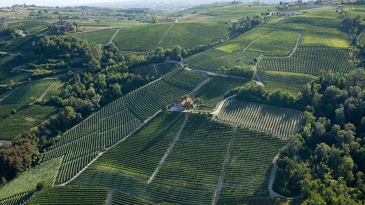 Nytt pris från 1 juni! Borgogno Langhe Nebbiolo 199 kronor