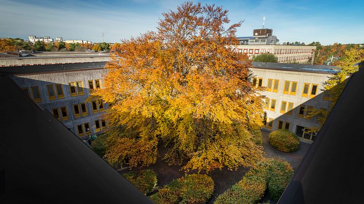 Hus L gult_Telestaden_Foto Binge Eliasson