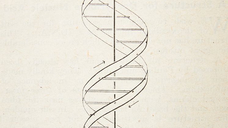 Watson & Crick, the discovery of the structure of DNA 1953