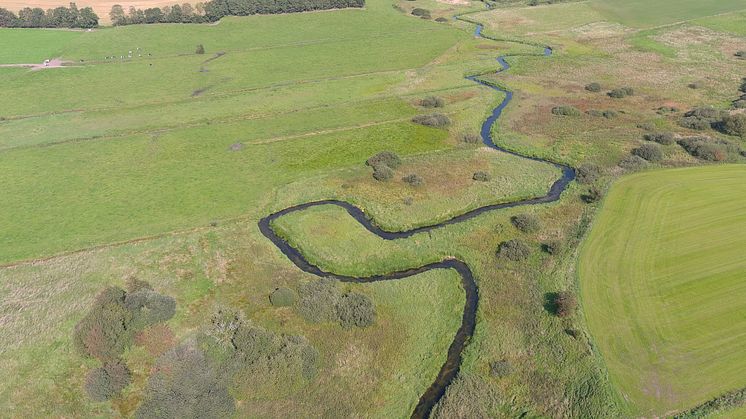 Helhedsprojektet ved Simested Å kan reducere den årlige udledningen af kvælstof til Limfjorden med 17-24 tons, fosfor med 1,6-2,5 tons og klimagasser med 62 tons CO2 ækvivalenter.