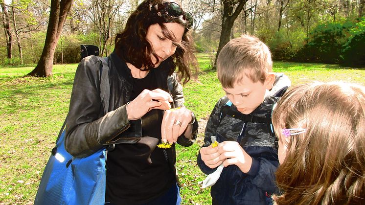 Kräuterwanderung im Englischen Garten