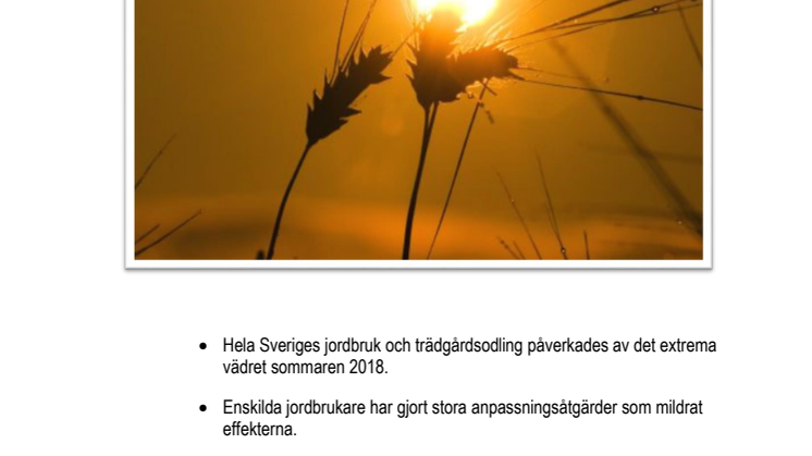 Rapport om konsekvenser av torkan 2018