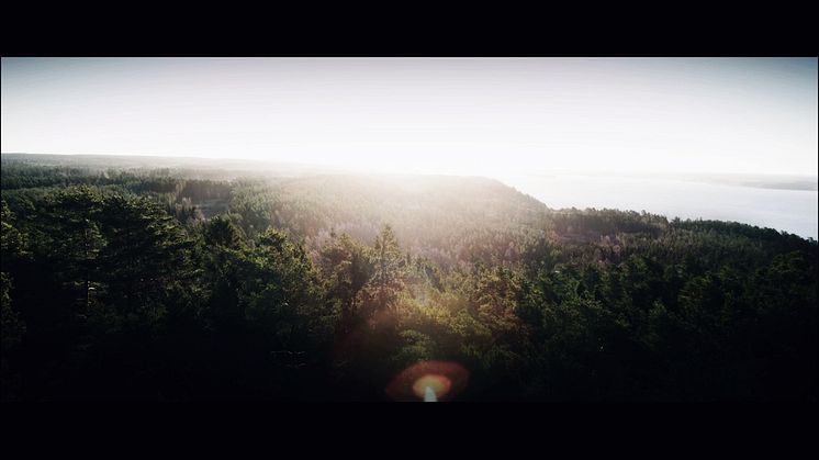 Wildfire 2016