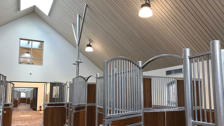 Pendlade armaturen Beam G2 från Exaktor lyser upp stallgång och hästboxar i det nybyggda stallet.