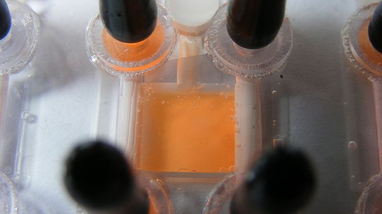 TH-Lehr- und Forschungsbereich Mikrosystemtechnik zeigt auf dem 12. TechnologieTag Teltow am 12. März 2015 „Hardware für Life Sciences“