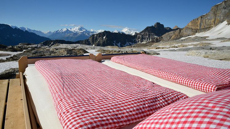 SternguckerbettAmLoetschenpass(c)AndreaStrohmeier  