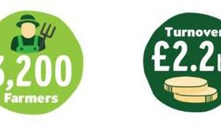 Infografik Arla Foods UK 2014